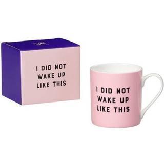 Mug I Did Not