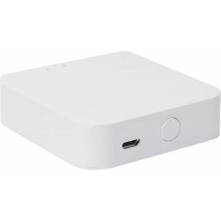 Bluetooth gateway mesh 4,2