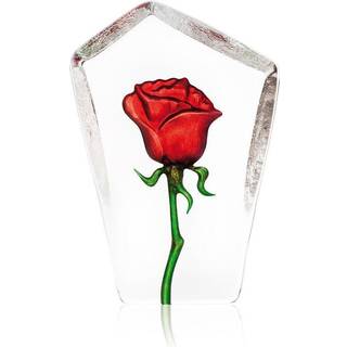 Rose, 13 cm - Målerås