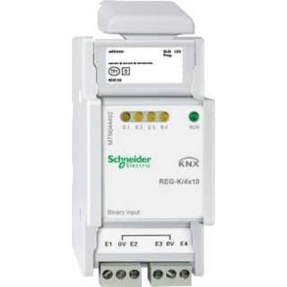 Schneider Binær indgang din 4x10