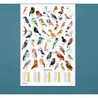 Luckies Of London Poster Garden Birds - Plakat