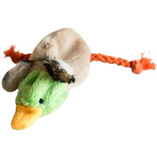 Kitty Play Skinny, Green Duck