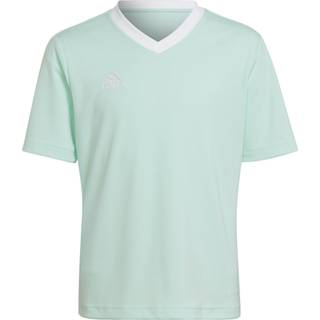 adidas Entrada 22 Trænings T-shirt Børn