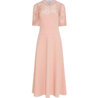 Lts Tall Pink Lace Midi Dress 22 Lts | Tall Women's Midi Dresses
