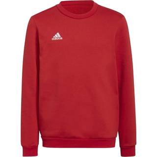 Adidas sweatshirt junior
