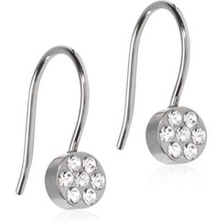 Plenary Titanium Øreringe fra Blomdahl med Swarovski Krystaller