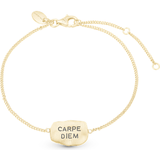 Christina Jewelry Carpe Diem armbånd i sølv