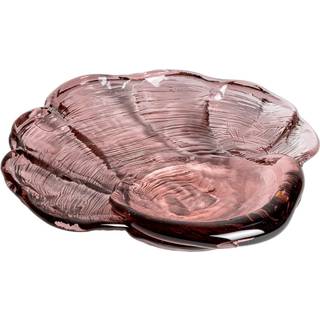 Venus Clam fad
