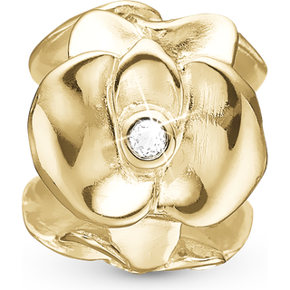 TOPAZ ORCHID