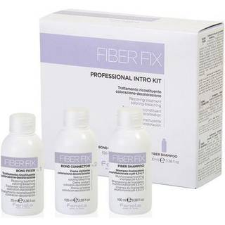 Fanola Fiber Fix Intro Kit