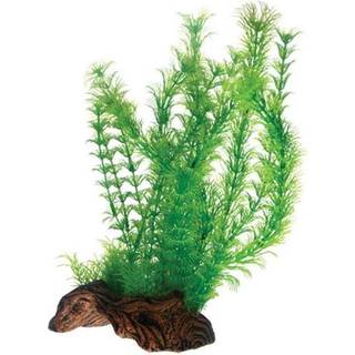 Dohse Flora Root 3 L 30 cm