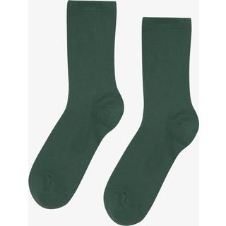 Colorful Standard Women Classic Sock Scarlet Red - 36-40