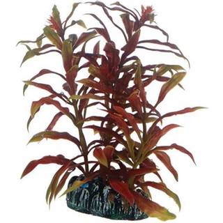Dohse Nesaea 13 cm