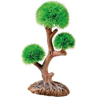 Dohse Aqua Tree 3 15x6x26cm
