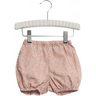 Wheat Nappy Shorts Ruffles Powder Flowers