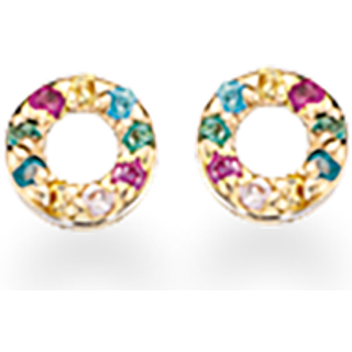 Scrouples Cirkel Rainbow 8 Karat Guld Ørestikker