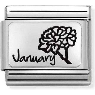 Nomination January Birth Flower Charm - Silver