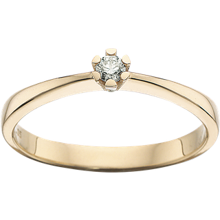 Vida Ring 0,05 ct. i 14 Karat Guld fra Scrouples 7815,05