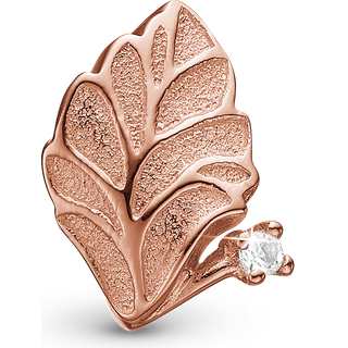 Spring Leaf