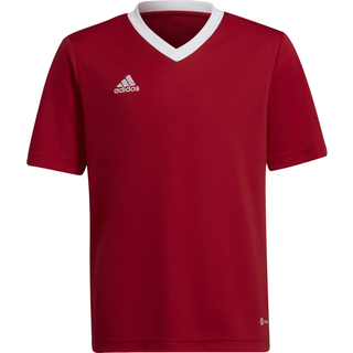 Adidas Entrada 22 t-shirt - Blå - Str. XL - Modish.dk