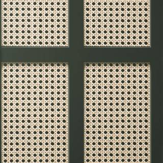 Albany Wallpaper Cane Panel FD42998