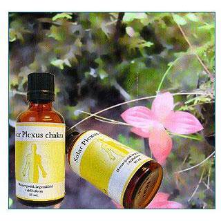 Holistica Medica Solar plexus chakra - 50 ml.