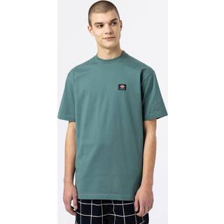 Dickies Mount Vista T-Shirt (Lincoln)