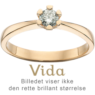 Vida Ring 0,25 ct. i 14 Karat Guld fra Scrouples 7815,25