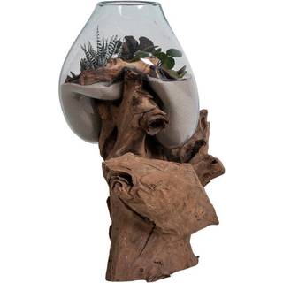 San Marino vanddråbe i glas, H50 cm, teak