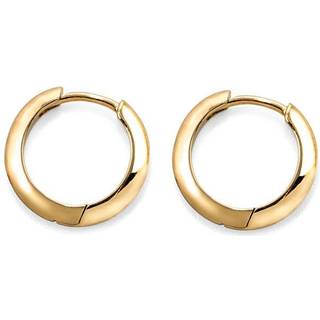 IX Edge Earring
