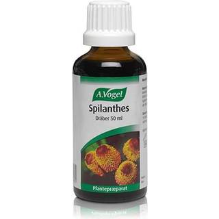 A. Vogel Spilanthes - 50 ml.