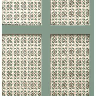 Albany Wallpaper Cane Panel FD42999