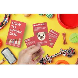 Gift Republic Cards Speak Dog - Spil