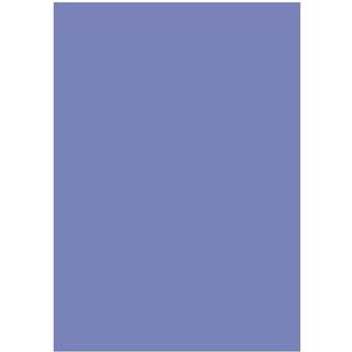 Karton Folia A4 300g Syrefrit og 100% returpapir violet