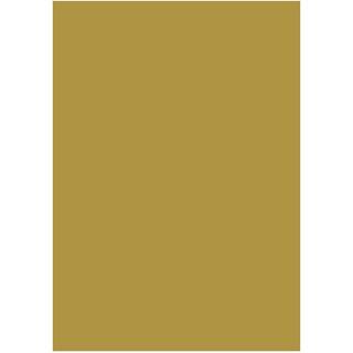 Karton Folia A4 300g Syrefrit og 100% returpapir guld