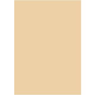 Karton Folia A4 300g Syrefrit og 100% returpapir beige
