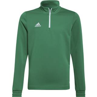 adidas adidas Bright Green Entrada 22 Training Top
