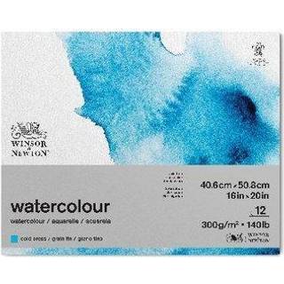 Winson & Newton watercolour - 40,6 x 50,...