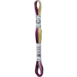 DMC Mouliné Multi Color Broderigarn Farve 4503