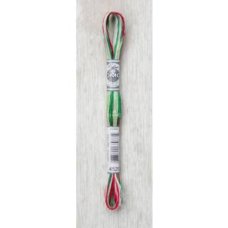 DMC Mouliné Multi Color Broderigarn Farve 4520
