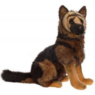 Tysk herde valp 17 ''