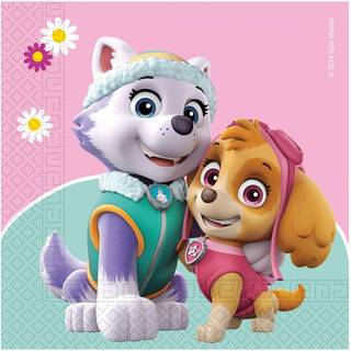PAW PATROL SKYE & EVEREST 20 stk 33x33 cm