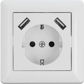 Delock USB (Schuko) 230V stikkontakt - 2 x USB-A - Hvid
