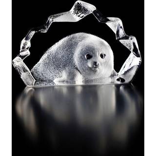 Sælunge, Mini - Målerås