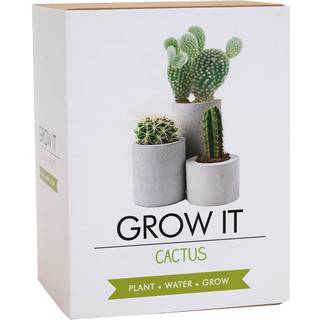 Gift Republic Grow It Kit Cactus Kaktus