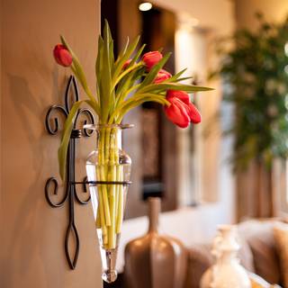 Danya B. Home Accent Wall Mount Fleur de Lis Flower Vase Sconce lavet af jern og klart glas Det kan vises p? v?ggen indend?rs eller perfekt til g