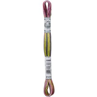 DMC Mouliné Multi Color Broderigarn Farve 4509