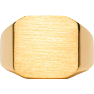 IX Studios Octacon Signet ring DMN0290GD (52)