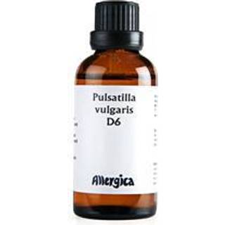 Pulsatilla D6 (50 ml)