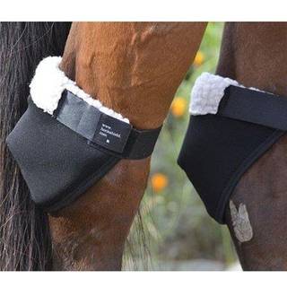 Intrepid International Hock Shield Regular